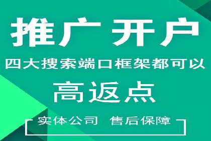 提升转化率：SEM广告投放的实战案例分享